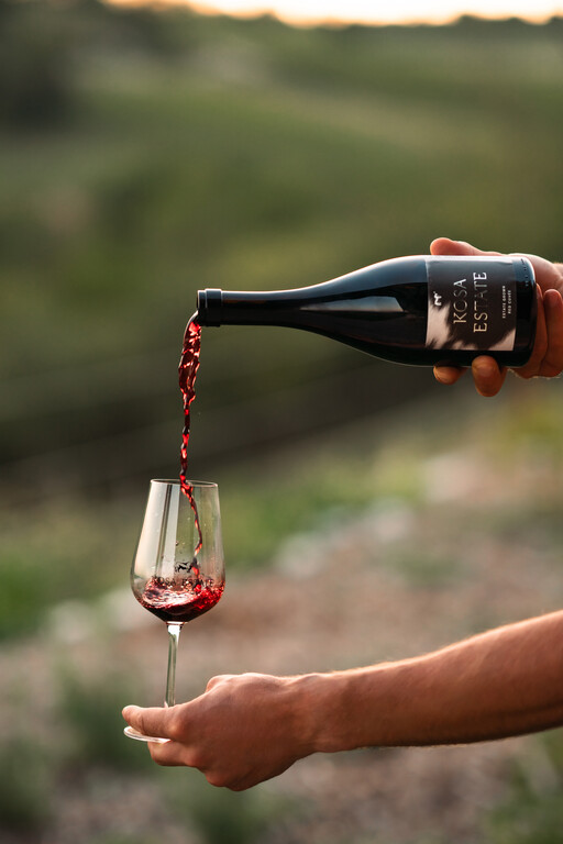 Visit Podunajsko_Agroturistika_Kosa Estate (1).jpg